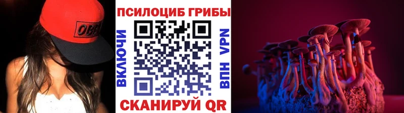 Галлюциногенные грибы мицелий  наркотики  Себеж 