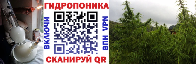 hydra онион Себеж Бошки Шишки OG Kush